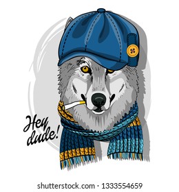 Gray wolf with cigarette, blue cap and knitted scarf. Hand drawn illustration of dressed wolf. Vector illustration.