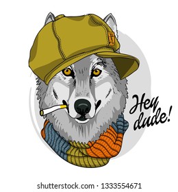 灰色のオオカミとタバコ 帽子 編んだスカーフ 手描きのオオカミのイラスト ベクターイラスト のベクター画像素材 ロイヤリティフリー