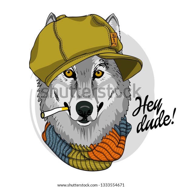 灰色のオオカミとタバコ 帽子 編んだスカーフ 手描きのオオカミのイラスト ベクターイラスト のベクター画像素材 ロイヤリティフリー