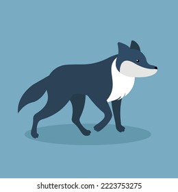Gray wolf, forest animal - illustration