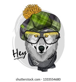 Gray wolf with glasses, green checkered cap and knitted scarf. Hand drawn illustration of dressed wolf. Vector illustration.