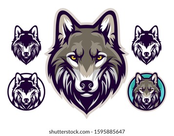 Gray wolf head emblem. Vector illustration.