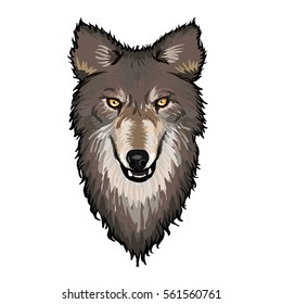 Gray wolf head with sharp teeth and angry look on white background isolated vector illustration
