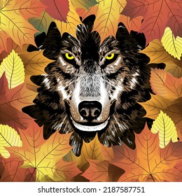 Gray wolf head with yellow eyes in orange maple leafs.. Hand drawn vector illustration.