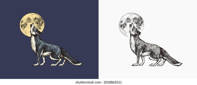 Gray wolf howling. A predatory beast and the moon. Wild forest animal. Vector Engraved hand drawn Vintage old sketch for stamp, t-shirt or typography or badge.