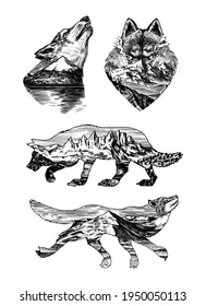 Gray wolf logo and badge. Forest and mountain and hill. Double exposure Concept. A predatory beast. Wild forest animal. Vector Engraved hand drawn Vintage old sketch for tattoo, t-shirt or typography.