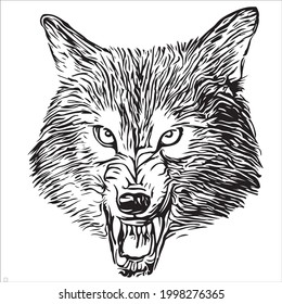 Lobo gris. Una bestia depredadora. Animales silvestres. Esbozo antiguo vintage grabado a mano para estampado, camiseta o tipografía o placa