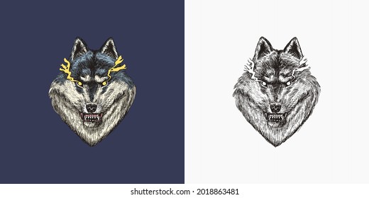 721 Grey Wolf Aggressive Stock Illustrations, Images & Vectors ...