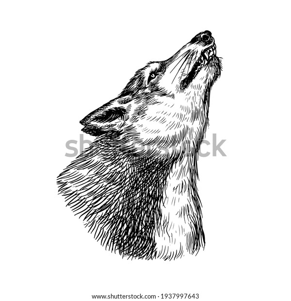 42,062 Wolf Head Stock Vectors, Images & Vector Art | Shutterstock