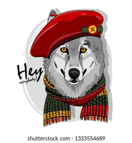 Gray wolf with red cap and knitted scarf. Hand drawn illustration of dressed wolf. Vector illustration.