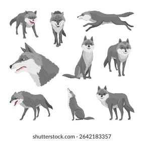 Gray wolf set. A predatory beast. Wild forest animal. Vector hand drawn vintage old sketch for stamp, t-shirt or typography or badge