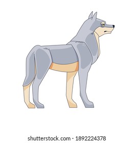 Gray wolf or Timber wolf (Canis lupus) stands and looks into the distance. Wildlife scene. Cartoon character of a dangerous mammal animal. Vector flat style illustration isolated on white background.