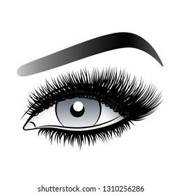 Gray woman eye with long false lashes with eyebrows.
Vector illustration isolated on white background. Ink drawing. Eye makeup.
