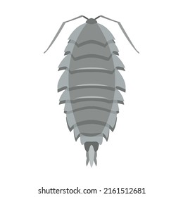 Gray woodlice. Pest control workers and insects flat vector illustration. Poison and equipment for pest infestation prevention, insects isolated