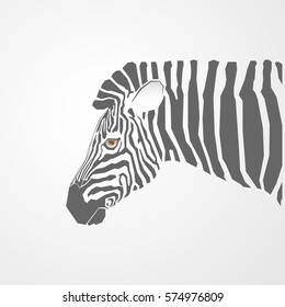 Gray zebra.