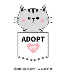 Graycat sitting in the pocket. Adopt me. Pink heart. Cute cartoon animals. Kitten kitty character. Dash line. Pet animal collection. T-shirt design. Baby background. Isolated. Flat design Vector