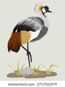 La grulla de corona gris descansa. Ilustración vectorial de la grulla de corona gris (Balearica regulorum), representación de esta icónica especie de grulla africana con sus distintivas plumas de corona dorada.