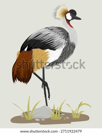 The gray-crowned crane rests.Vector illustration of the Grey Crowned Crane (Balearica regulorum), depiction of this iconic African crane species featuring its distinctive golden crown feathers.