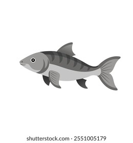 Grayling animal isolated flat vector illustration on white background