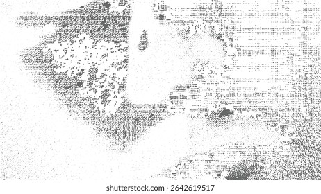 Grayscale abstract background with mottled gray and white patterns creating a dense granular texture The composition features fragmented shapes suggesting organic forms with varying densities