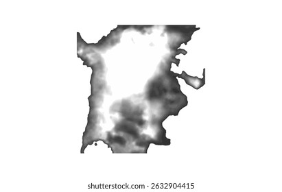 Grayscale Abstract Topographic Map Style Background