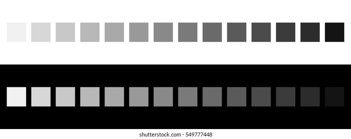 Grayscale colors on black and white. Monochrome palette