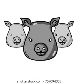 grayscale cute pigs heads wilds animals