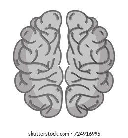 grayscale human brain anatomy to creative and intellect