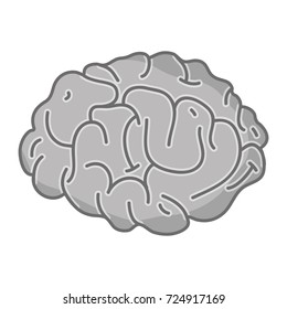 grayscale human brain anatomy to creative and intellect