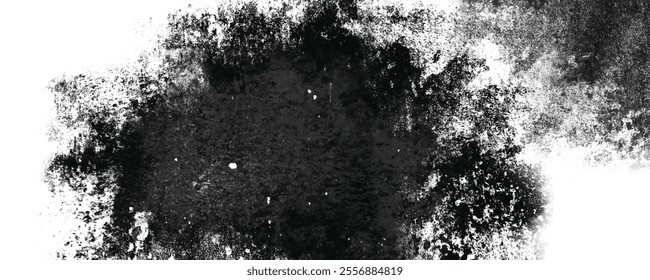 Grayscale Ink Splash Design with Detailed Monochrome Texture Background Featuring High-Resolution Elements

