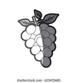 grayscale silhouette of bunch of grapes vector illustration