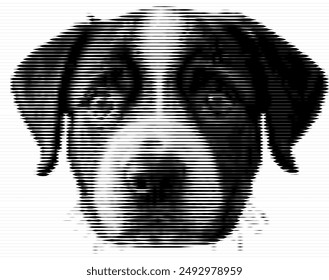 Grayscale stripes blending to form a dog's expression.