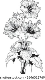Imagem vetorial em tons de cinza de três flores de hibisco com hastes verdes, perfeito para complementar desenhos com temas florais ou botânicos.