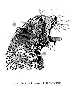 Grayscale vector sketch of the head of a roaring leopard