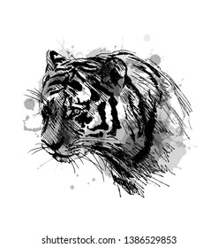 Grayscale vector sketch of the head of the tiger