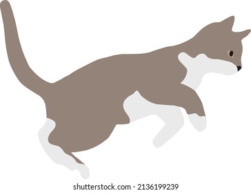 A gray-white cat jumps with its hind legs