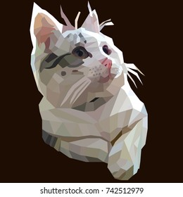 a gray-white cute cat with nice smile lies and look up with shine in the eyes. Vector illustration made in popular low poly style.