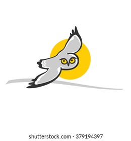 Gray-white owl flying in the sky with the sun in the background