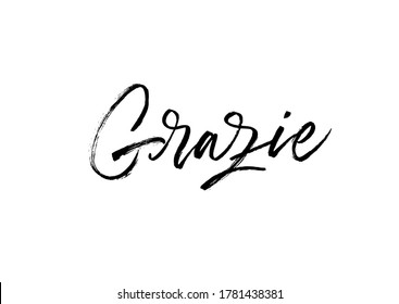 Grazie brush style modern calligraphy. Thank you in Italian. Communication word. Black paint lettering isolated on white background. Lettering for cards, posters, web design, banner or t shirt.