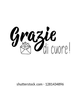 Grazie di cuore - Thank you very much in Italian. Modern brush calligraphy. Vector illustration.