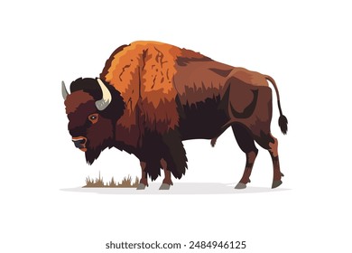 Grazing Bison. Vector illustration design.