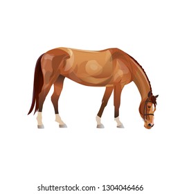 Grazing chestnut horse. Vector illustration isolated on white background