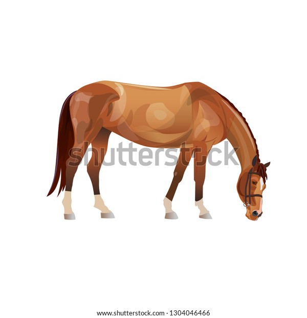Cheval de châtaignier. Illustration vectorielle isolée image