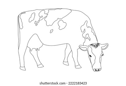 Grazing cow is a minimalist black linear sketch isolated on a white background. Vector illustration A cash cow is grazing in a field, eating grass. Milkmaid in the meadow