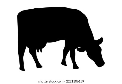 A grazing cow is a minimalistic black silhouette highlighted on a white background. Vector illustration of a cash cow grazing in a field, eating grass. Milkmaid in the meadow