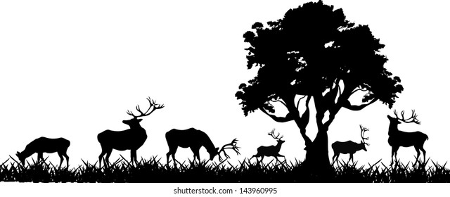 Grazing Deer Images, Stock Photos & Vectors | Shutterstock