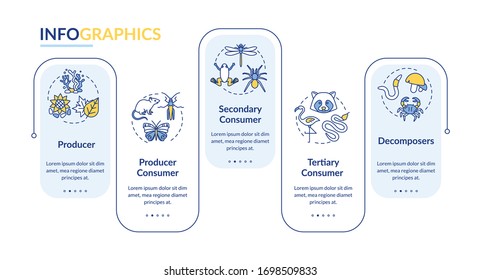 Grazing food chain vector infographic template. Energy producer and consumer presentation design elements. Data visualization with 5 steps. Process timeline chart. Workflow layout with linear icons