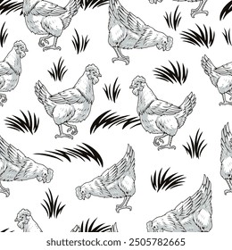 Grazing hens monochrome seamless pattern with poultry pecking grain walking through meadow with grass on farm territory vector illustration