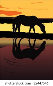 Grazing horse