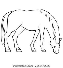 Grazing Horse Line Arte Ilustração Vetor
